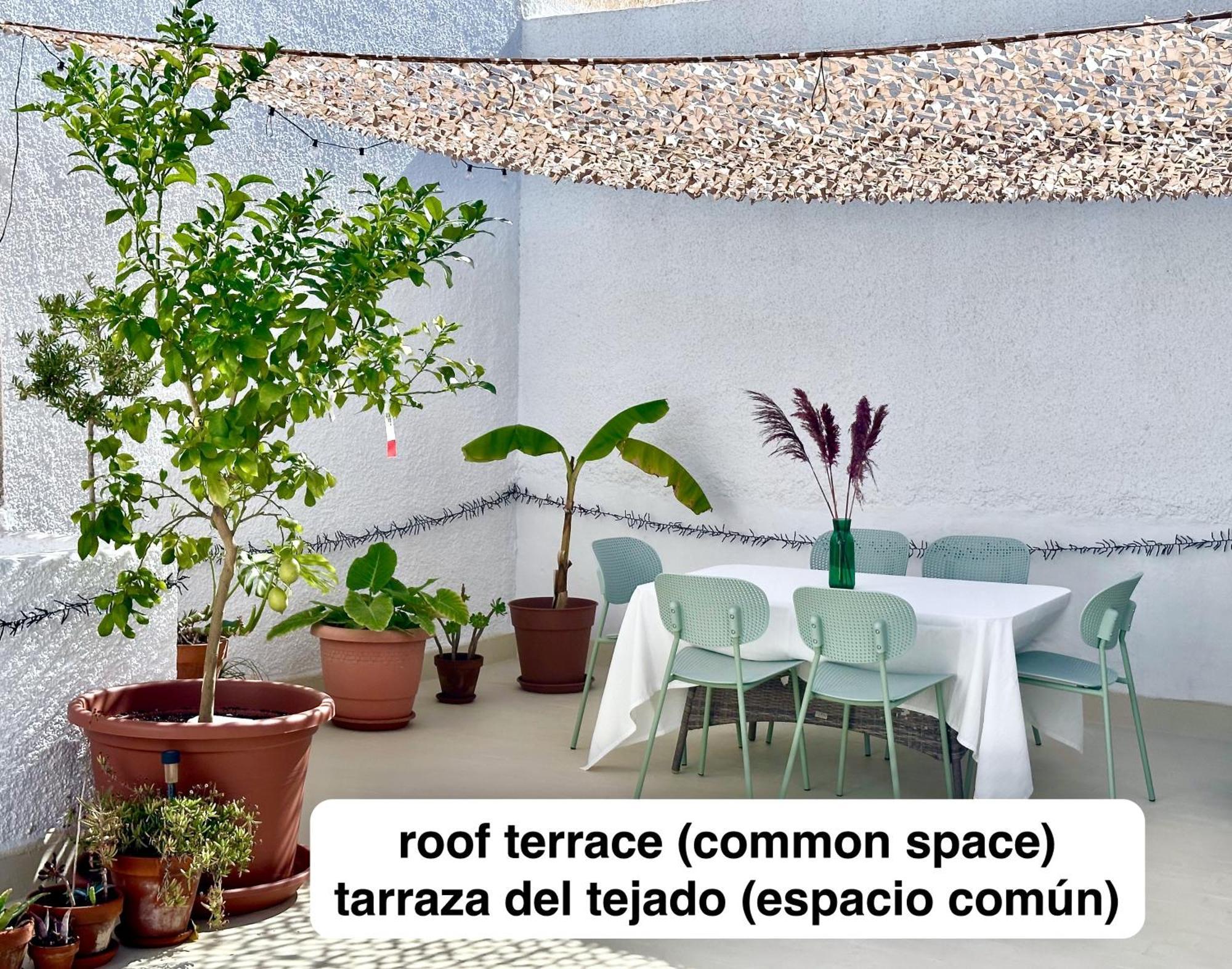 דירות Casa Joan מוריירה מראה חיצוני תמונה